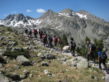 Grupo organizado en montaña