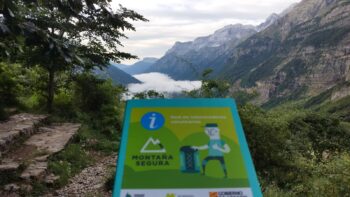 Campaña de encuestas 2025